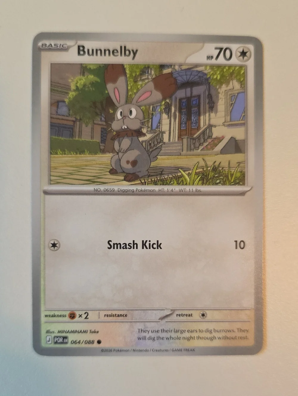Pokemon Bunnelby And Diggersby Cards